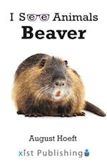 Beaver 