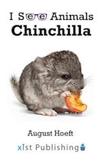 Chinchilla 