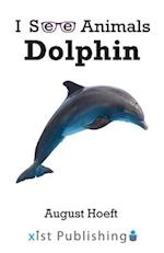 Dolphin 