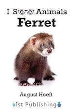 Ferret 