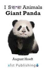 Giant Panda 