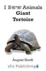 Giant Tortoise 