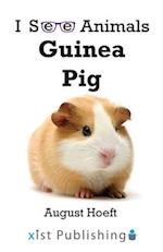 Guinea Pig 