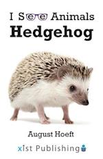 Hedgehog 