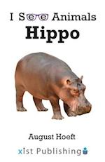 Hippo 