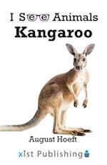 Kangaroo 