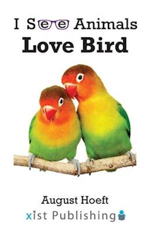 Love Bird