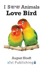 Love Bird 