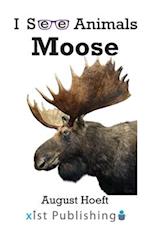 Moose 