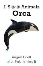 Orca 