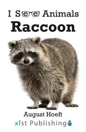 Raccoon