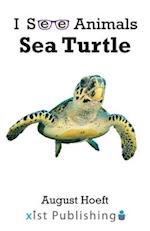 Sea Turtle 