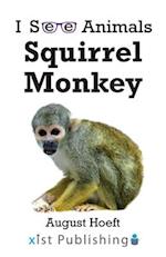 Squirrel Monkey 