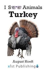 Turkey 