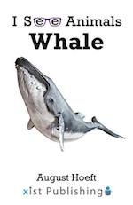 Whale 