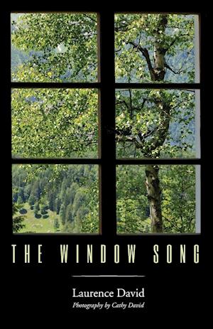 The Window Song