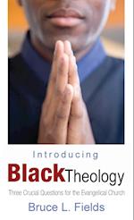 Introducing Black Theology