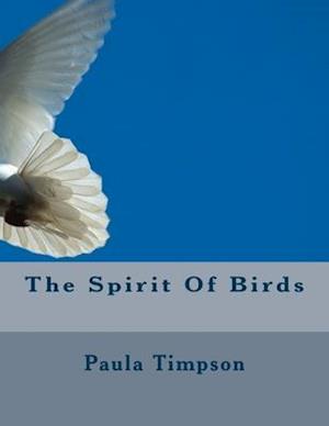 The Spirit Of Birds