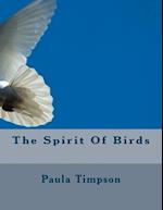 The Spirit Of Birds