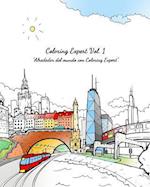 Coloring Expert Vol. 1 (Spanish Edition)