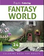 Fantasy World