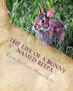 The Life of a Bunny Named Beepa