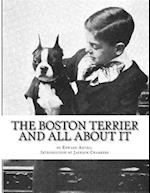 The Boston Terrier and All about It