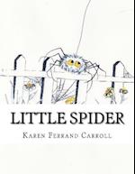 Little Spider