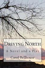 Driving North