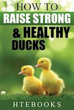 How To Raise Strong & Healthy Ducks: Quick Start Guide 