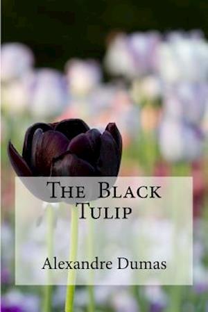 The Black Tulip