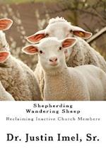 Shepherding Wandering Sheep