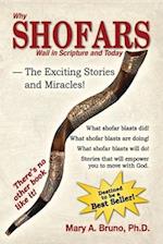 Why Shofars Wail in Scripture and Today