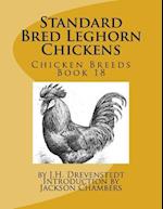 Standard Bred Leghorn Chickens