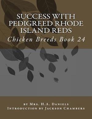 Success with Pedigreed Rhode Island Reds