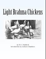 Light Brahma Chickens