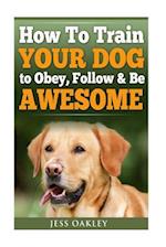 How to Train Your Dog to Obey, Follow & Be Awesome