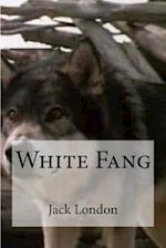 White Fang