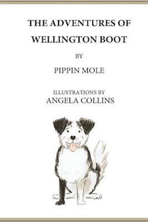 The Adventures of Wellington Boot