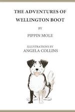 The Adventures of Wellington Boot