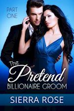 Pretend Billionaire Groom