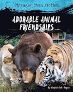Adorable Animal Friendships