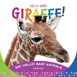 Hello Baby Giraffe!