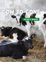 Cow to Cone