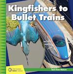 Kingfishers to Bullet Trains