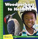 Woodpeckers to Helmets