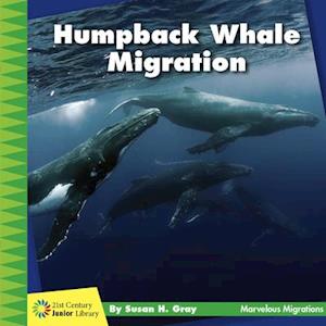 Humpback Whale Migration