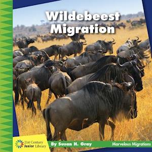 Wildebeest Migration