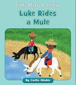 Luke Rides a Mule