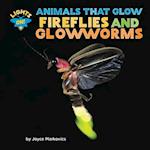 Fireflies and Glowworms